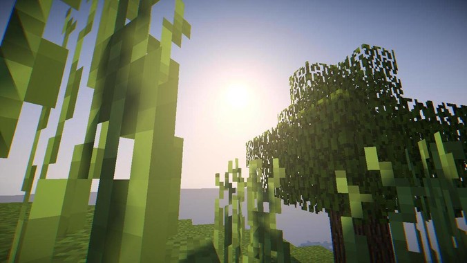 你见过最上进的人是怎样的？